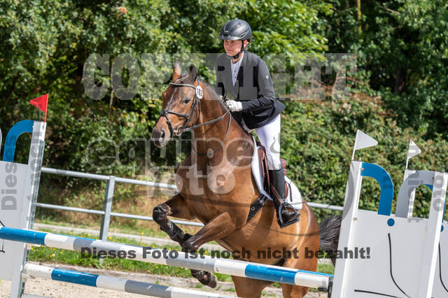 Late-Entry-Vielseitigkeit Langenfeld (06.+07.07.2020)