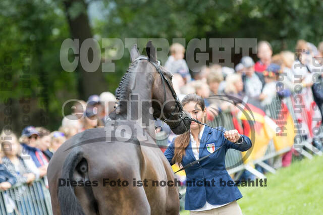 FEI European Championship