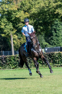 Kronenberg - De Peelbergen (August 2020)