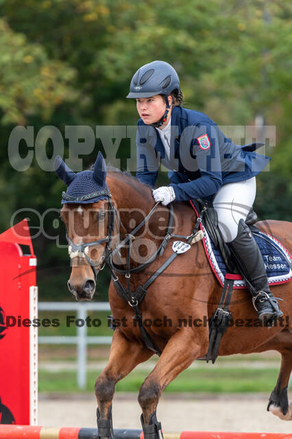 Goldene Schärpe 2020 - Pferde