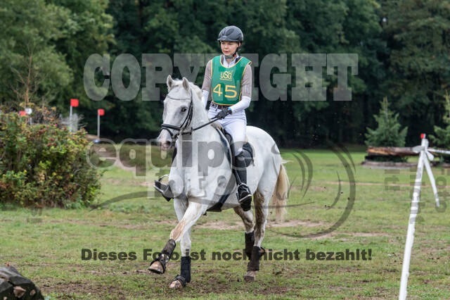 Vielseitigkeit RSV Wesel Obrighoven (26.+27.09.2020)