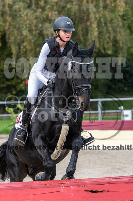 Goldene Schärpe 2020 - Pferde