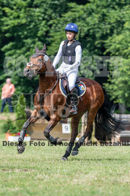 Goldene Schärpe 2021 - Ponys