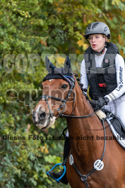 Goldene Schärpe 2020 - Pferde