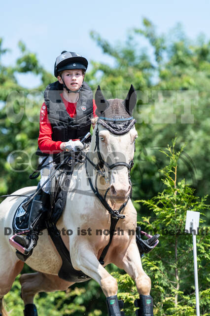 Goldene Schärpe 2021 - Ponys