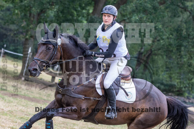 Late-Entry Vielseitigkeit Hamminkeln/Wesel (01.+02.08.2020)