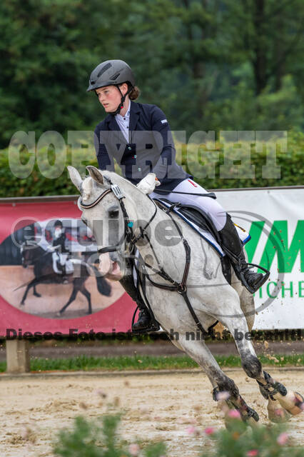 Goldene Schärpe 2021 - Ponys