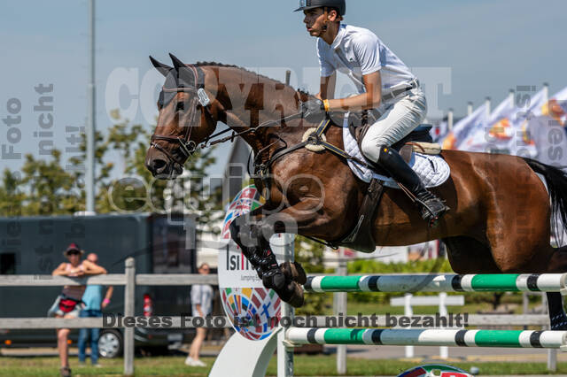 Kronenberg - De Peelbergen (August 2020)