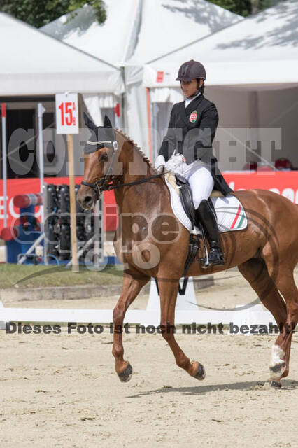 FEI European Championship Eventing 2017