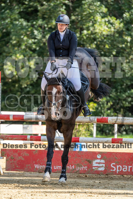 RFV Dinslaken-Hiesfeld (Herbstturnier)