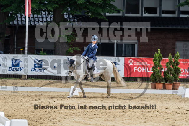 Goldene Schärpe 2021 - Ponys