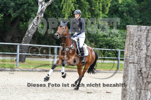 Late-Entry-Vielseitigkeit Langenfeld (11.+13./14.06.2020)