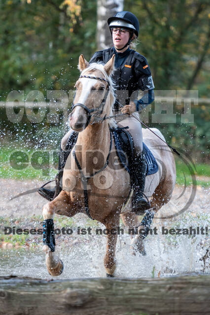 IGV Lehrgang der Sieger der Cups mit Frank Ostholt
