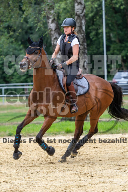 Hunter Geländetraining 10.07.2021 (Sonsbeck)
