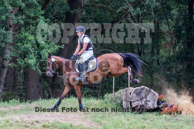 Late-Entry Vielseitigkeit Hamminkeln/Wesel (01.+02.08.2020)