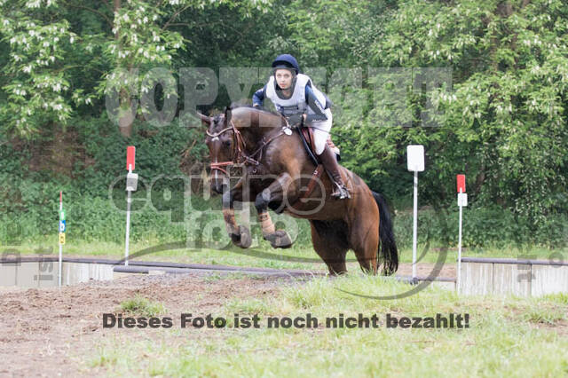 Vielseitigkeitsturnier ZRFV von Lützow Hamminkeln