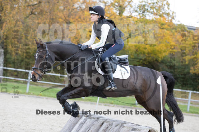 IGV Lehrgang der Sieger der Cups mit Frank Ostholt