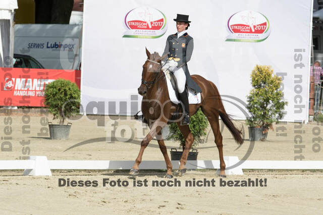 FEI European Championship Eventing 2017