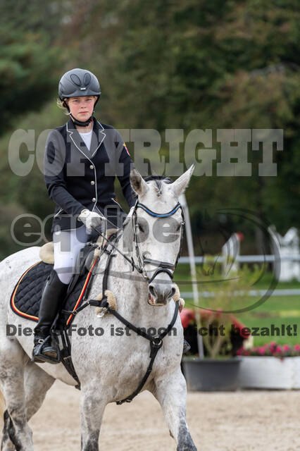 Goldene Schärpe 2020 - Pferde