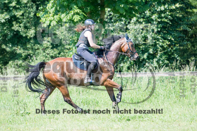 Tholi-Tour Lehrgang Vanessa Bölting