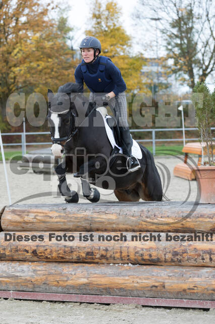 IGV Lehrgang der Sieger der Cups mit Frank Ostholt
