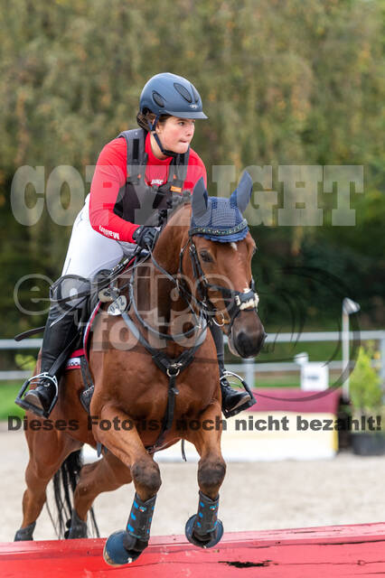 Goldene Schärpe 2020 - Pferde