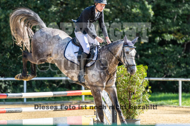 RFV Dinslaken-Hiesfeld (Herbstturnier)