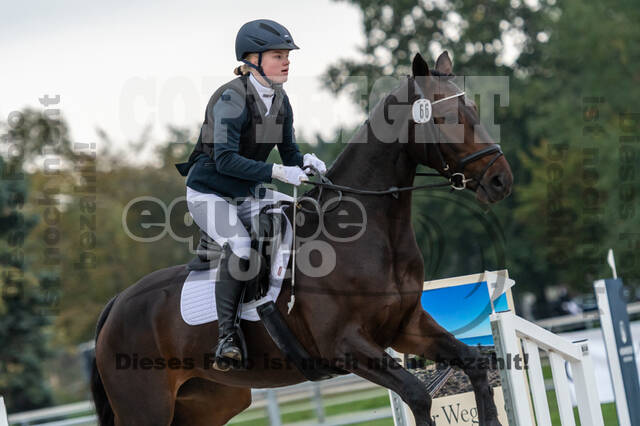 Reiter Schleswig-Holstein