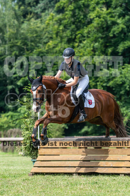 Goldene Schärpe 2021 - Ponys