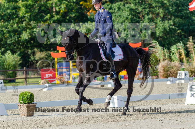 Deutsche Meisterschaft Vielseitigkeit (Luhmühlen)