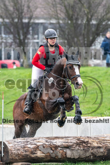 Goldene Schärpe 2020 - Pferde