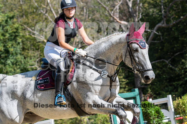 RFV Dinslaken-Hiesfeld (Herbstturnier)