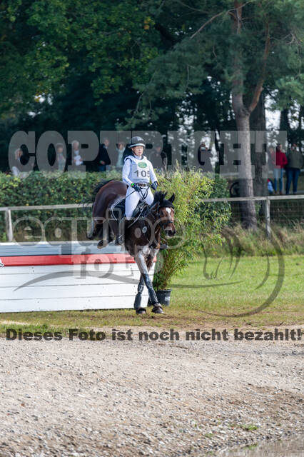 Deutsche Meisterschaft Vielseitigkeit (Luhmühlen)