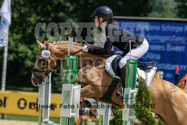 Goldene Schärpe 2021 - Ponys