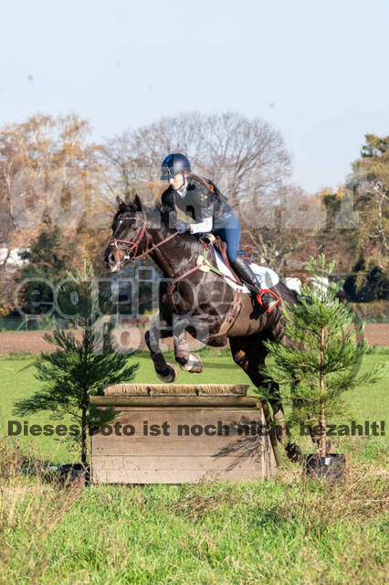 Vielseitigkeitslehrgang mit Jürg Kurbel (9.+10.11.2019)