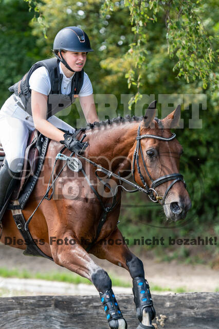 Late-Entry-Vielseitigkeit Langenfeld (06.+07.07.2020)