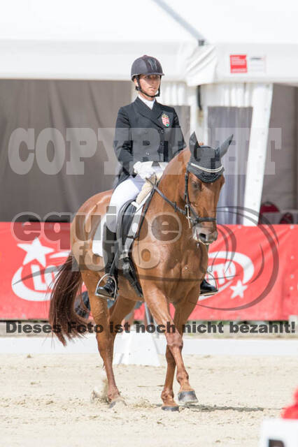 FEI European Championship Eventing 2017