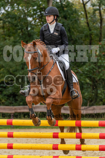 Vielseitigkeit RSV Wesel Obrighoven (26.+27.09.2020)