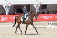 FEI European Championship Eventing 2017