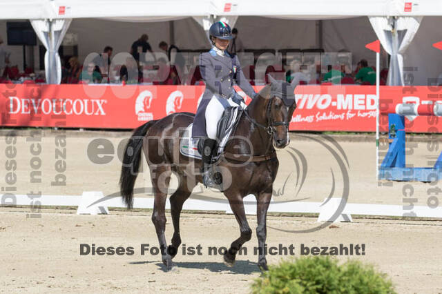 FEI European Championship