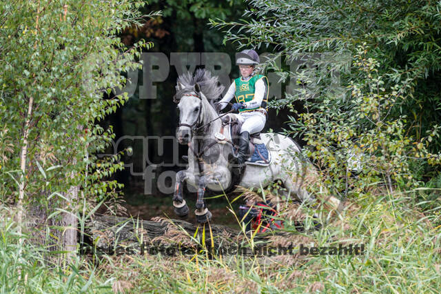 Vielseitigkeit RSV Wesel Obrighoven (26.+27.09.2020)