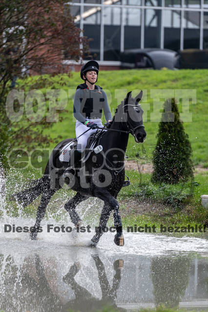 Goldene Schärpe 2020 - Pferde