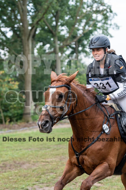 De Peelbergen (August 2020)