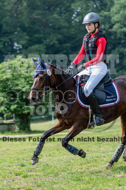 Goldene Schärpe 2021 - Ponys