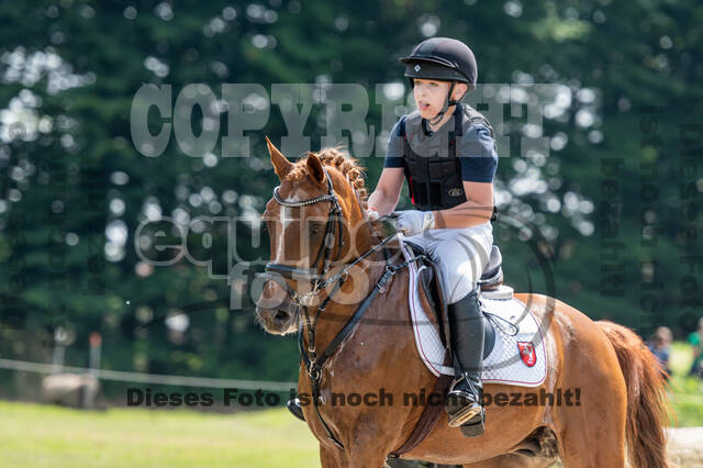 Goldene Schärpe 2021 - Ponys