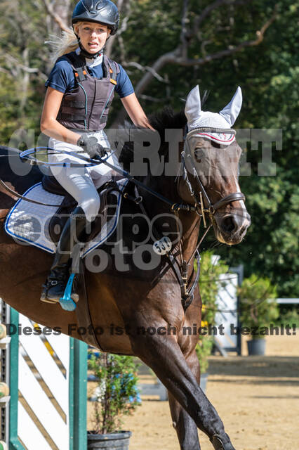 RFV Dinslaken-Hiesfeld (Herbstturnier)