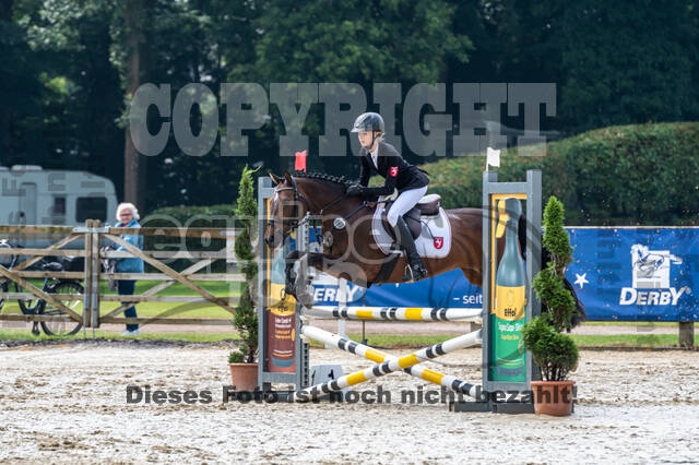 Goldene Schärpe 2021 - Ponys