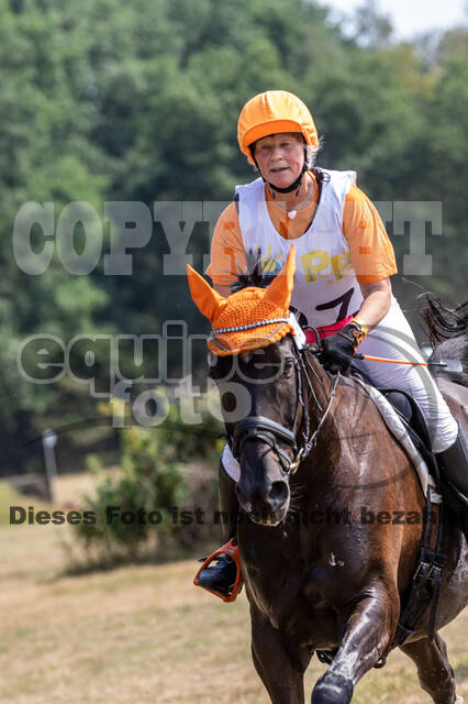 Late-Entry Vielseitigkeit Hamminkeln/Wesel (01.+02.08.2020)