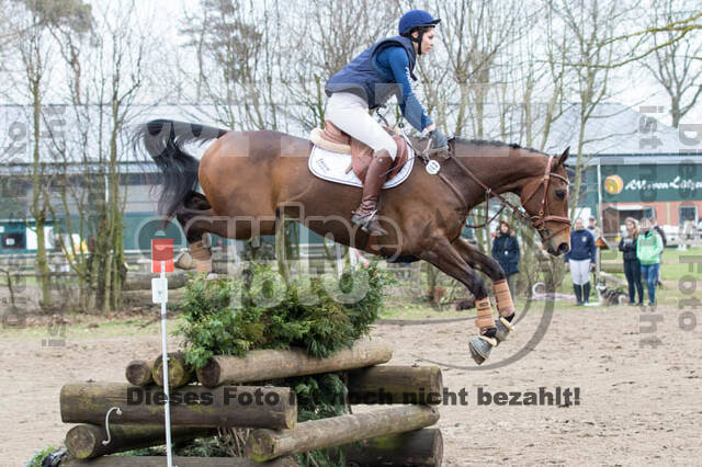 Jungpferdetag Hamminkeln