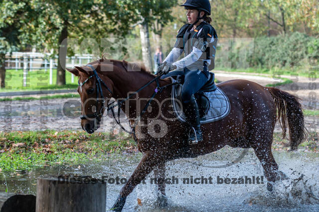 IGV Lehrgang der Sieger der Cups mit Frank Ostholt